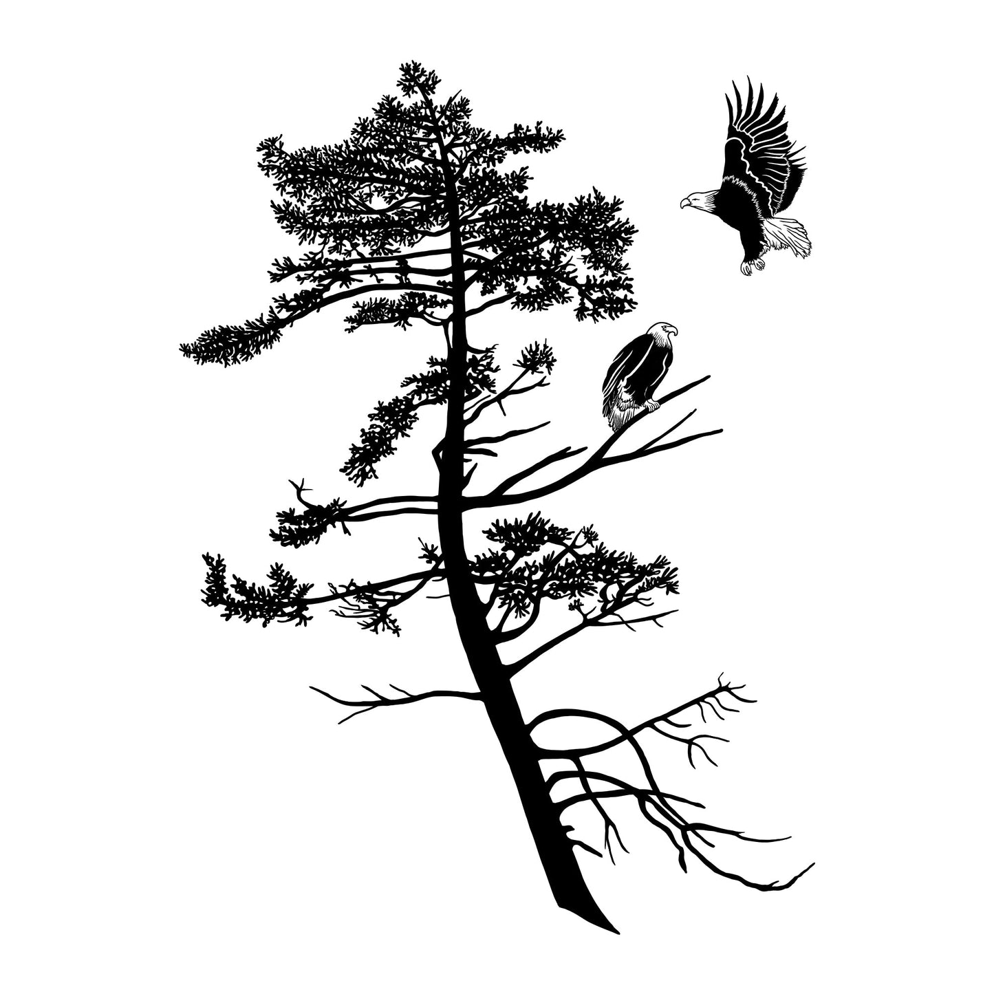 Coastal Eagles 14oz Tumbler Lowball Rocks Glass