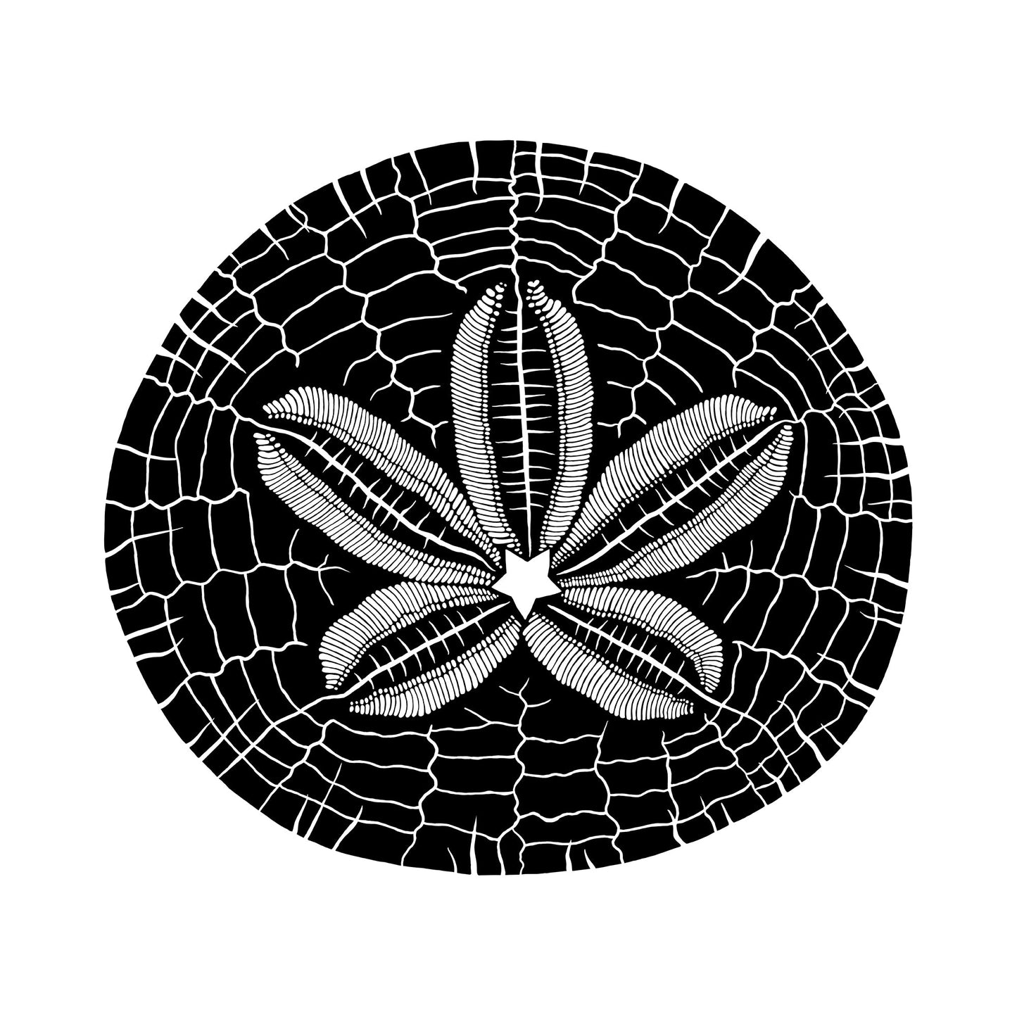 Sand Dollar 14oz Tumbler Lowball Rocks Glass