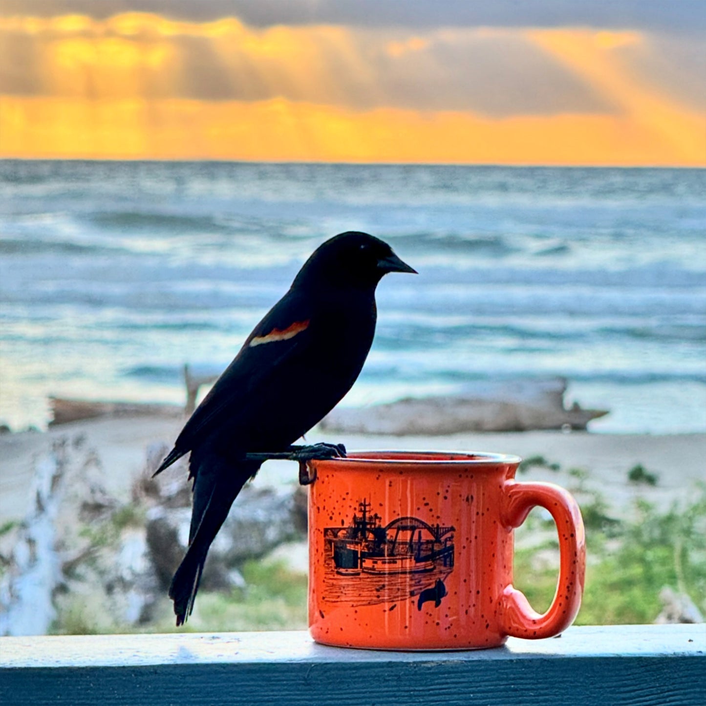 Sea Lions Port 15oz Ceramic Campfire Mug