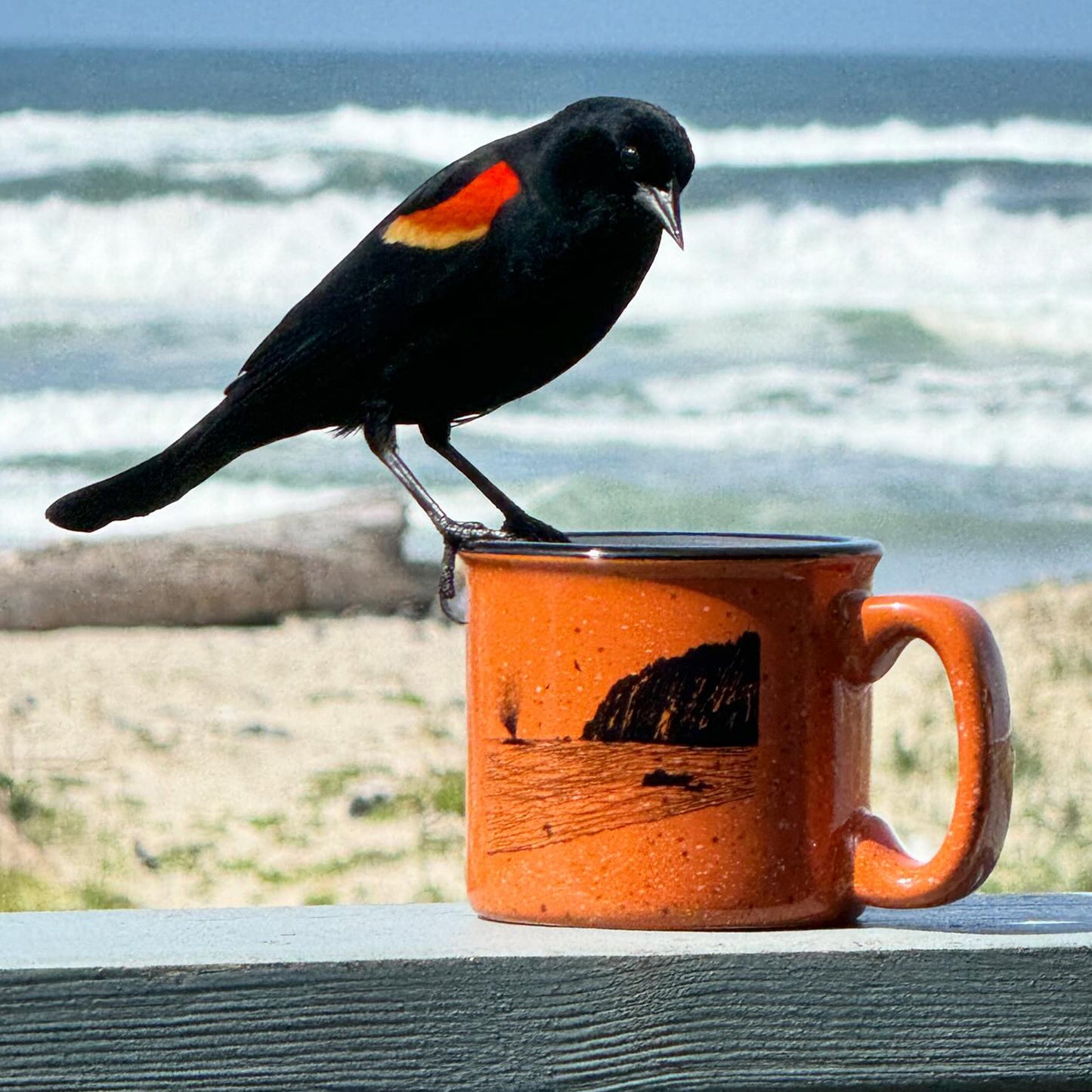 Whale Sighting 15oz Ceramic Campfire Mug