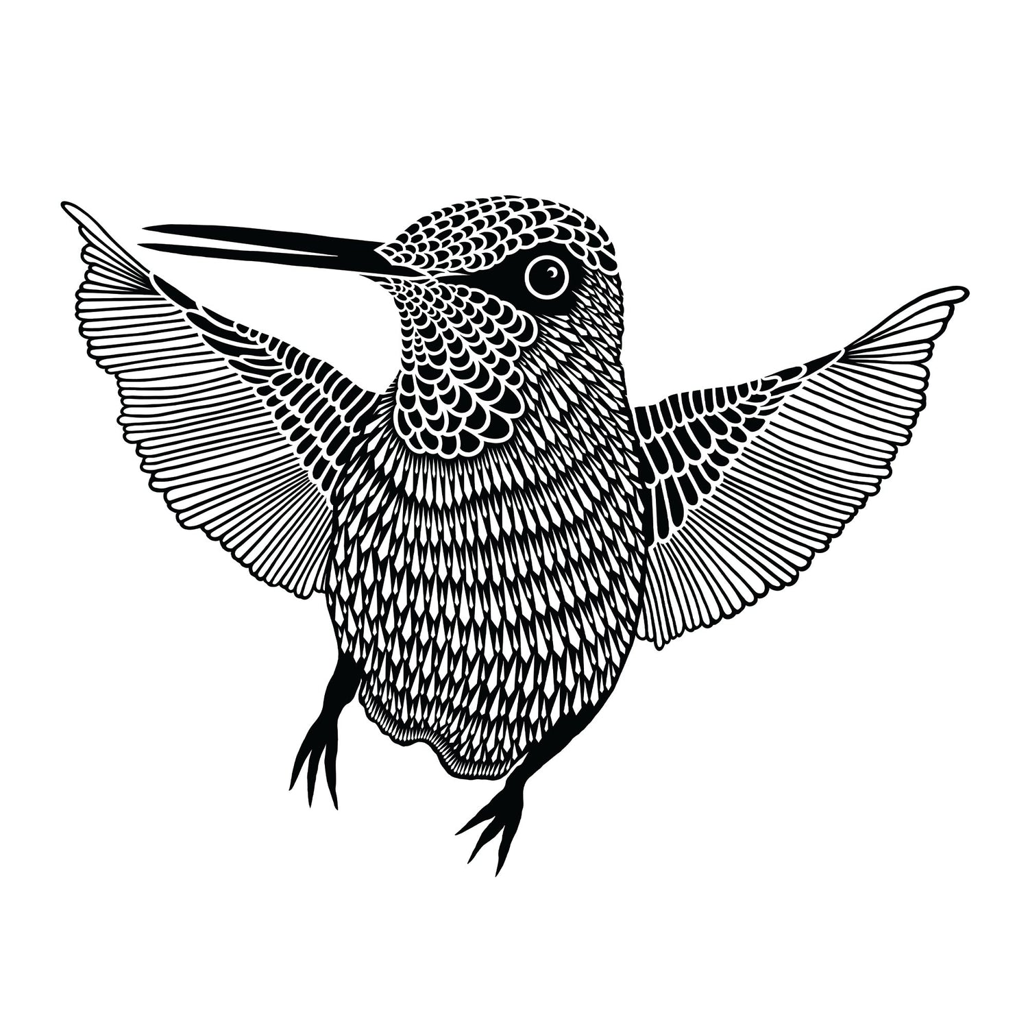 Introducing Hummingbird Hello!