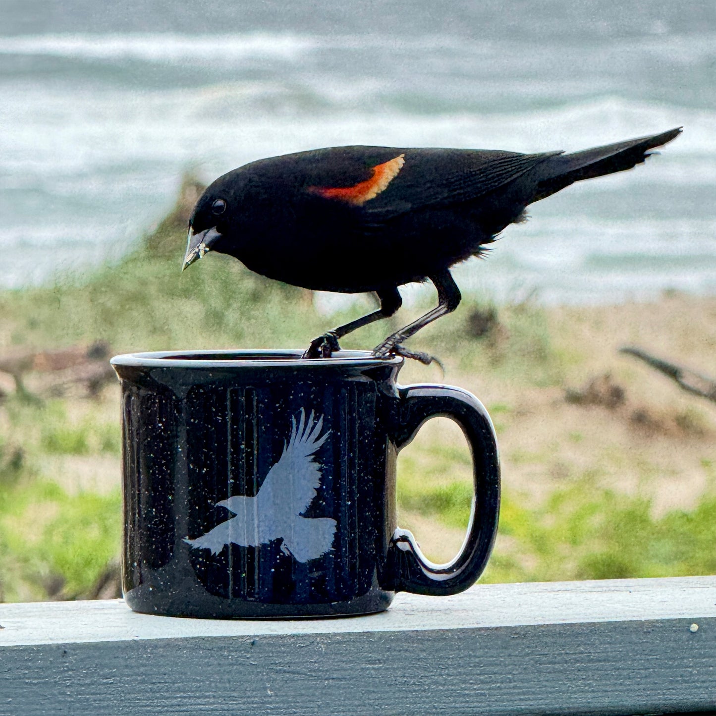 Flying Raven 15oz Ceramic Campfire Mug