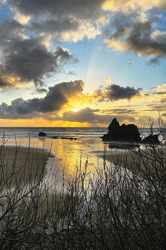 Golden Hour Post Card Postcard