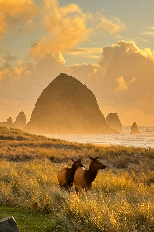 Haystack Couple Post Card