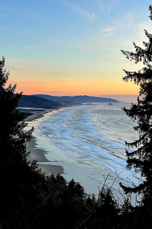 Looking South Post Card