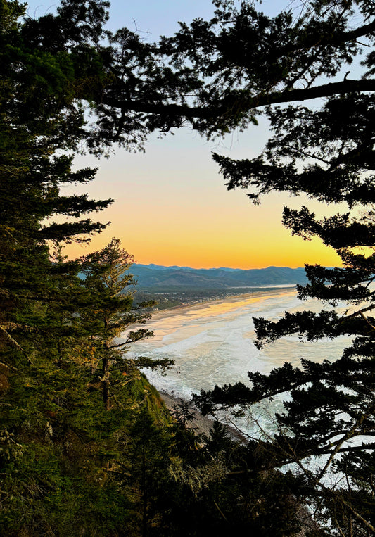 Neahkahnie Golden Hour Post Card