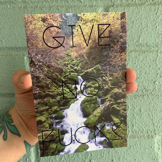Give No Fucks Funny Post Card Postcard