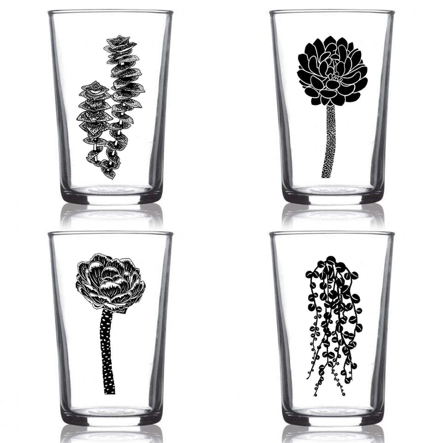 6.75oz Euro Wine Juice Glass Succulent Garden Series Black 4 Pack Boxed Set