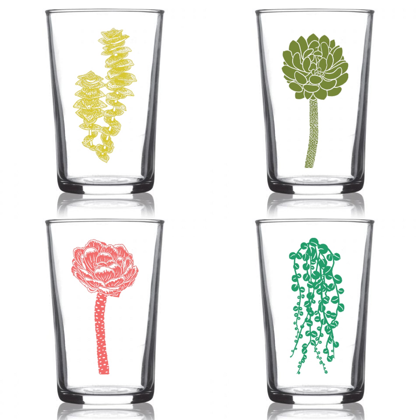 6.75oz Euro Wine Juice Glass Succulent Garden Series Color 4 Pack Boxed Set