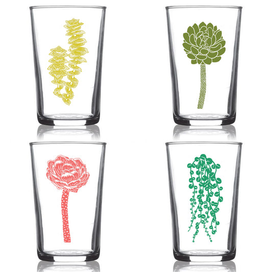 6.75oz Euro Wine Juice Glass Succulent Garden Series Color 4 Pack Boxed Set